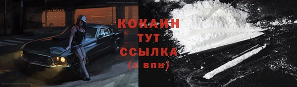 эйфоретик Аркадак