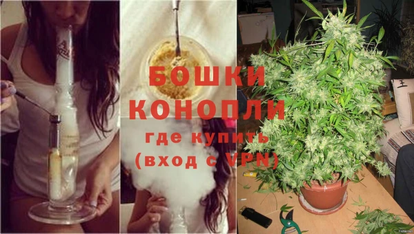 эйфоретик Аркадак